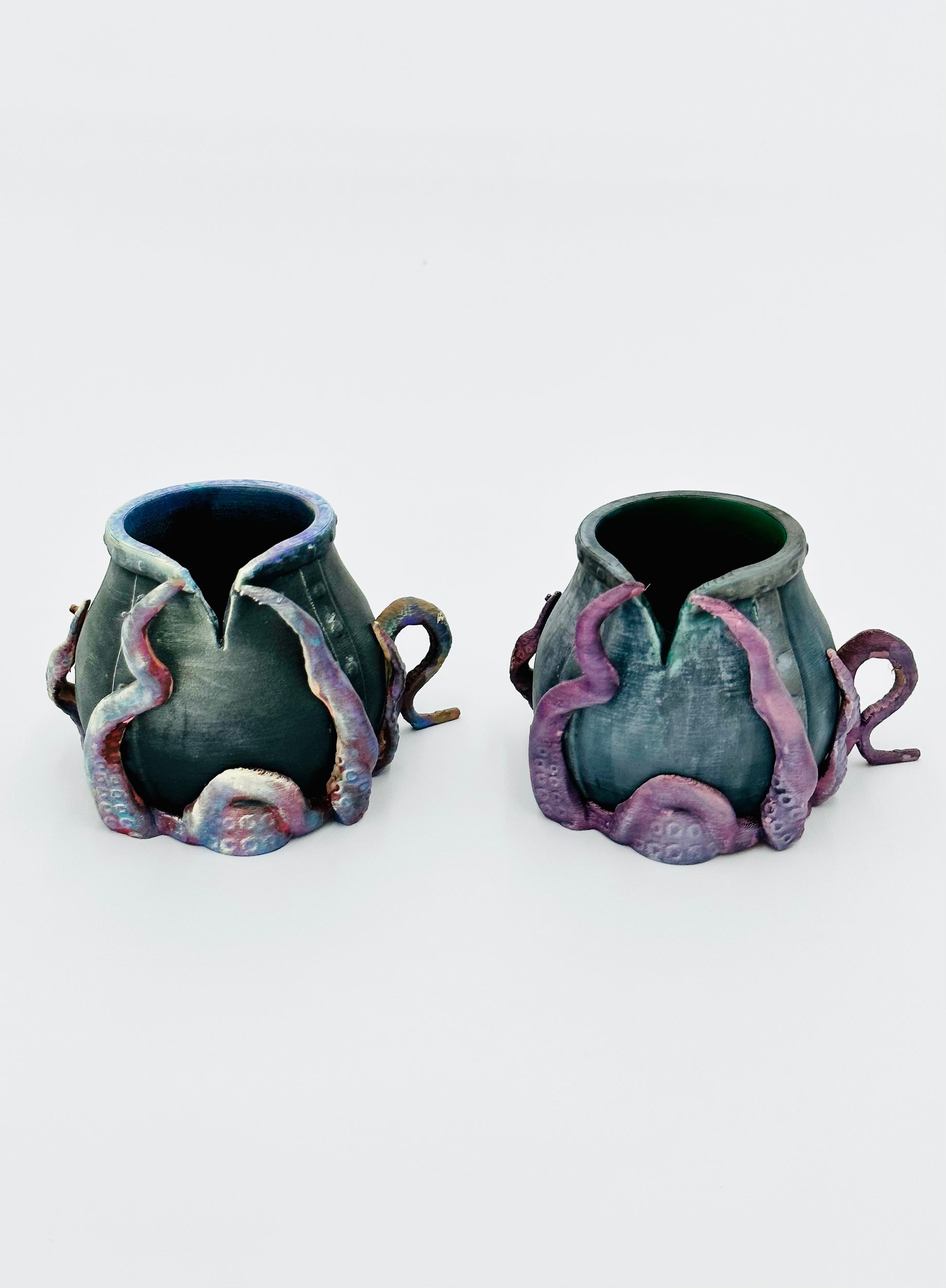 succulent teapot Kraken Succulent Plant