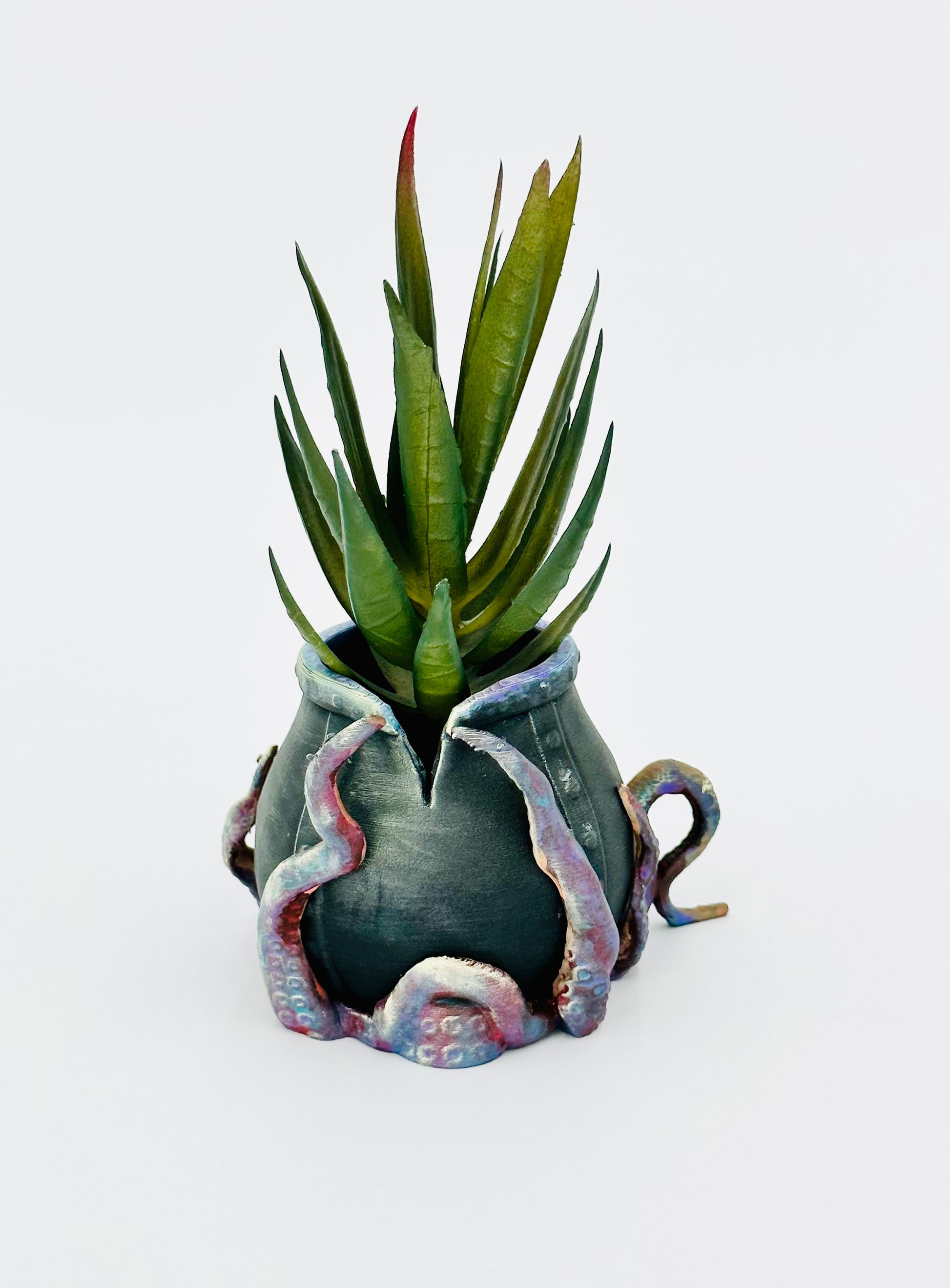 creative succulent pots Kraken Succulent Plant