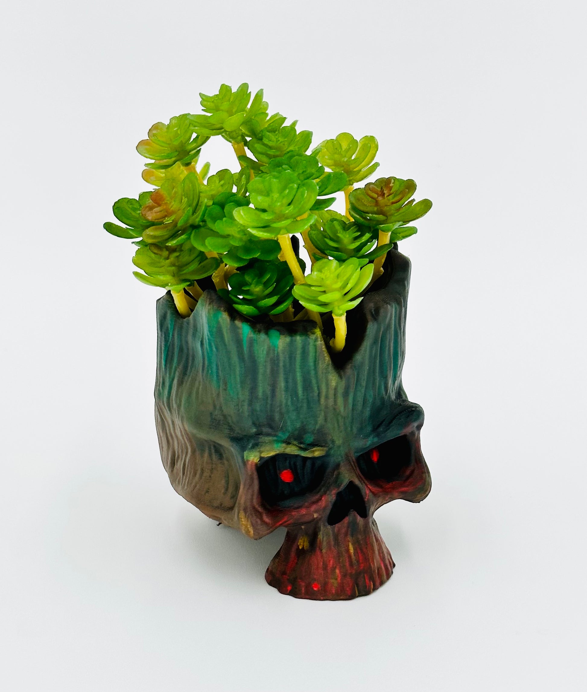 skull succulent pot Woody Grin Skull Succulent Pot