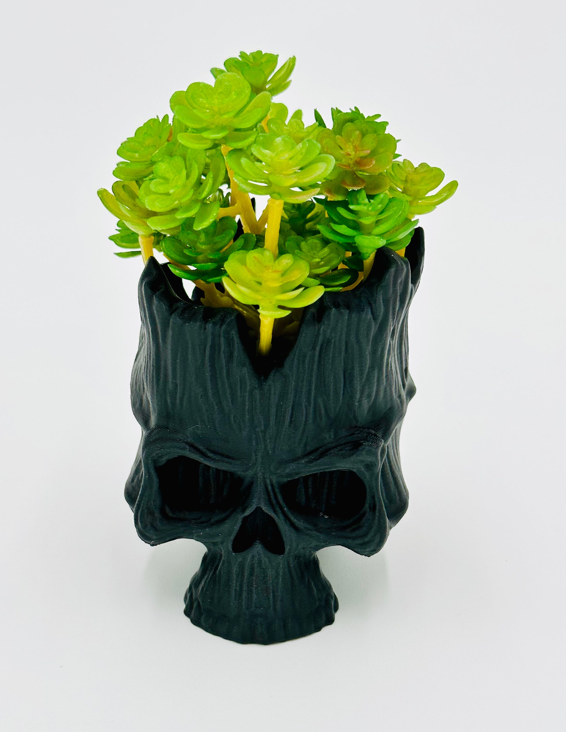 Skull Succulent Pot